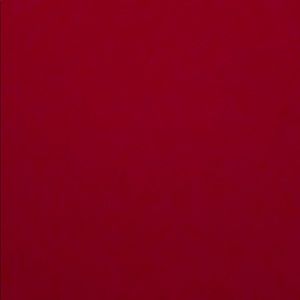 Meet your Posher, Dasha